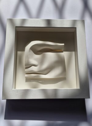 Framed Paper sculpture